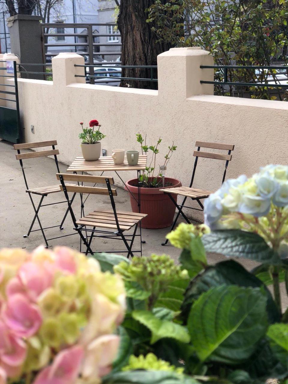 Cabbage Hostel Belgrad Dış mekan fotoğraf