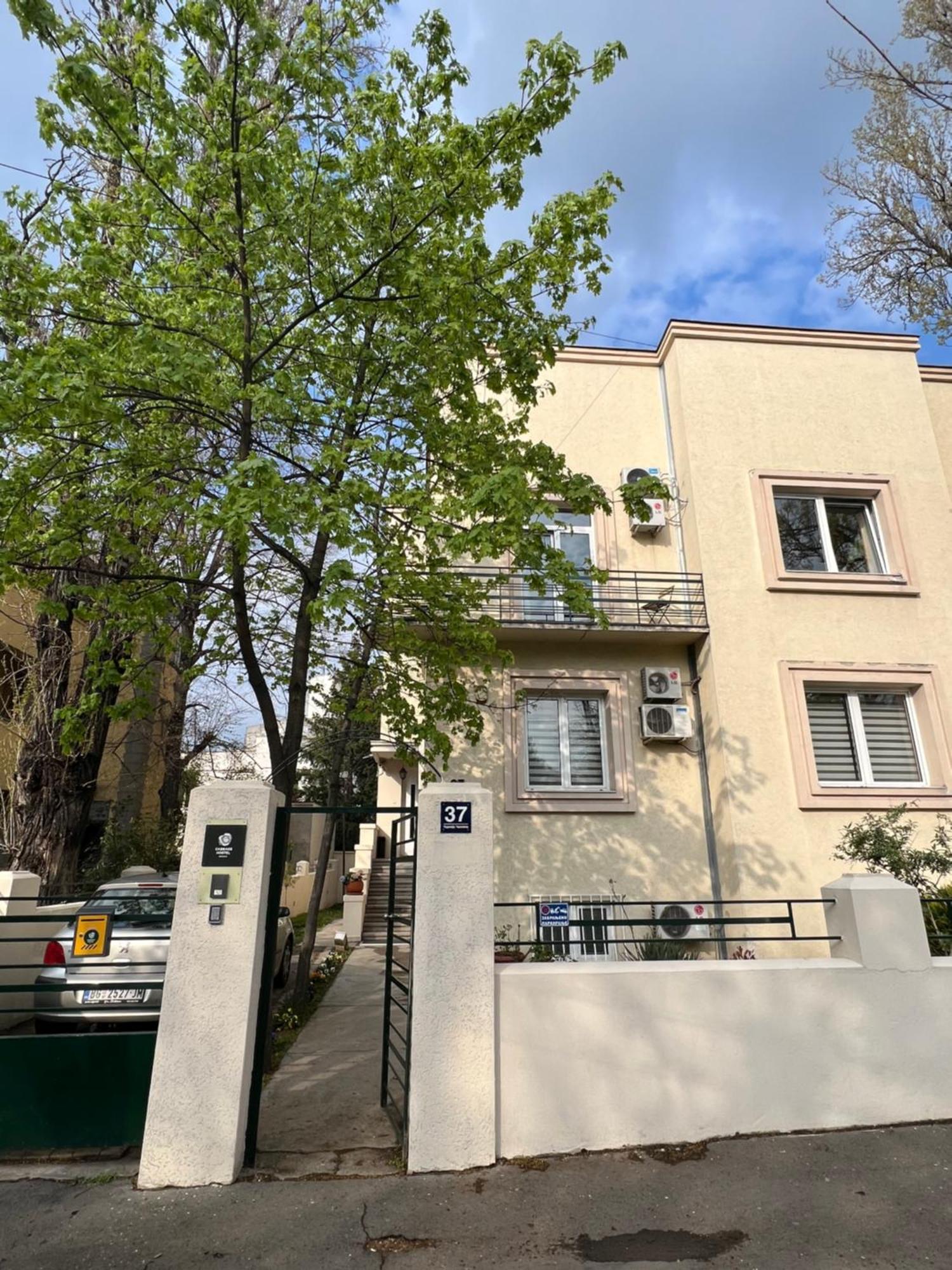 Cabbage Hostel Belgrad Dış mekan fotoğraf