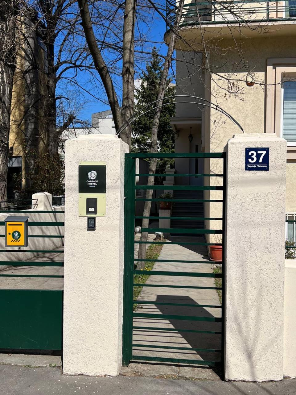 Cabbage Hostel Belgrad Dış mekan fotoğraf